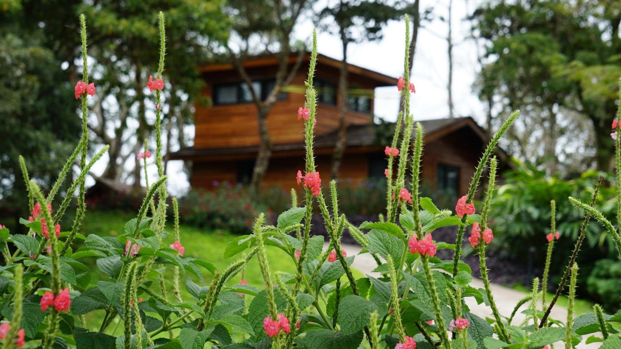 Lucero Golf And Country Club Tree Houses โบเกเต ภายนอก รูปภาพ